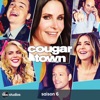 Télécharger Cougar Town, Saison 6