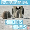 Télécharger Grandeurs nature : Des manchots et des hommes