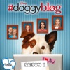 Télécharger #doggyblog, Saison 1