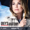 Acheter Grey's Anatomy, Saison 12 en DVD