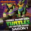 Télécharger Les Tortues Ninja (TMNT), Saison 1, Partie 2