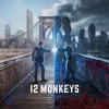 Acheter 12 Monkeys, Saison 2 en DVD