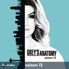 Télécharger Grey's Anatomy, Saison 13 (VOST)