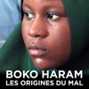 Télécharger Boko Haram : les origines du mal