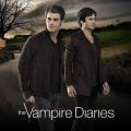 Télécharger The Vampire Diaries, Saison 8 (VOST)