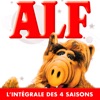 Acheter Alf, l’intégrale des 4 saisons (VF) en DVD