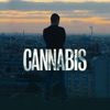 Acheter Cannabis, Saison 1 en DVD