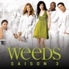 Télécharger Weeds, Saison 3 (VOST)