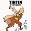 Télécharger Tintin : L'intégrale