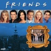 Télécharger Friends, Saison 8 (VOST)