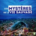 Télécharger Les mystères de la vie sauvage