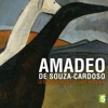 Acheter Amadeo de Souza Cardoso, le dernier secret de l'art moderne en DVD
