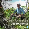 Télécharger Le monde de Jamy : Des forêts et des hommes