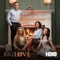 Télécharger Big Love, Saison 2 (VF)