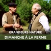Télécharger Dimanche à la ferme