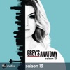 Acheter Grey's Anatomy, Saison 13 en DVD