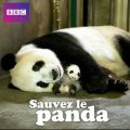 Télécharger Saving the Panda, Sauvez le panda