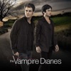 Acheter Vampire Diaries, Saison 8 (VOST) en DVD