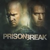 Télécharger Prison Break, Saison 5 (VF)