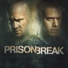 Acheter Prison Break, Saison 5 (VOST) en DVD