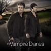 Télécharger The Vampire Diaries, Saison 8 (VF)