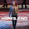 Acheter Homeland, Saison 6 (VF) en DVD