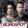Télécharger Blindspot, Saison 2 (VF)