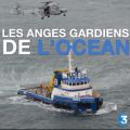 Télécharger Les anges gardiens de l'océan