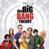 Acheter The Big Bang Theory, Saison 9 (VOST) en DVD