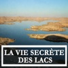 Acheter La vie secrète des lacs en DVD