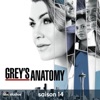 Acheter Grey's Anatomy, Saison 14 (VOST) en DVD