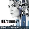 Télécharger Grey's Anatomy, Saison 14 (VOST)