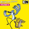 Télécharger Regular Show, Volume 14