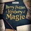 Télécharger Harry Potter: A History of Magic