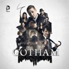 Acheter Gotham, Saison 2 (VOST) - DC COMICS en DVD