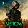 Acheter Arrow, Saison 4 (VF) - DC COMICS en DVD