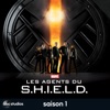 Télécharger Marvel Les Agents du S.H.I.E.L.D., Saison 1