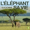 Télécharger L'éléphant qui donna sa vie