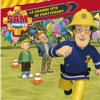 Télécharger Sam le pompier, Vol. 16: La grande fête de Pontypandy