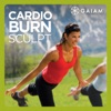 Télécharger Gaiam: Cardio Burn Sculpt