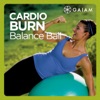 Télécharger Gaiam: Cardio Burn Balanceball