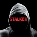 Acheter .Stalker, Saison 1 (VF) en DVD