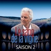 Acheter Le Sang de la Vigne, Saison 2 en DVD