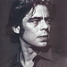 Benicio Del Toro