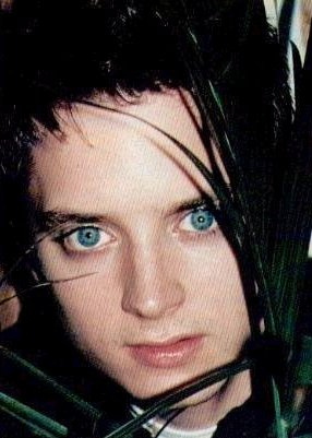 Elijah Wood