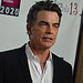 Peter Gallagher 
