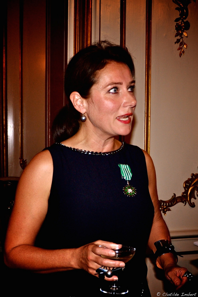 Sidse Babett Knudsen