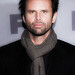 Walton Goggins