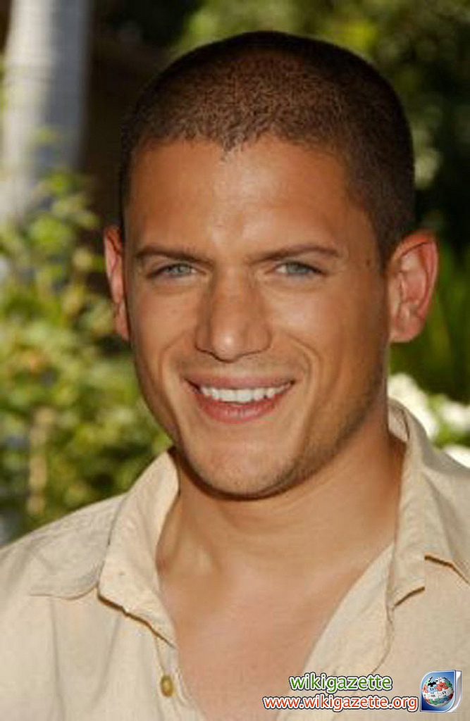 Wentworth Miller