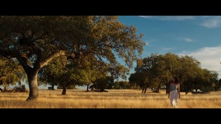 Soleil Battant Bande Annonce En Streaming